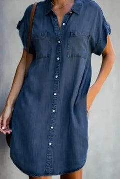 Womens Denim Dress