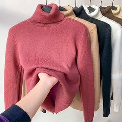 Elegant Turtle Neck Winter Sweater